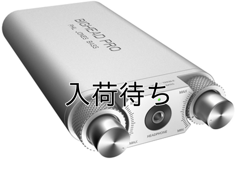 画像1: PJB / BIGHEAD PRO Ver.2   (1)