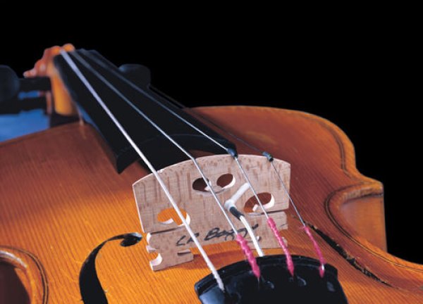 画像1: L.R.Baggs　Violin Pickup (1)