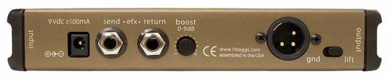 画像3:  L.R.Baggs　Venue DI (3)