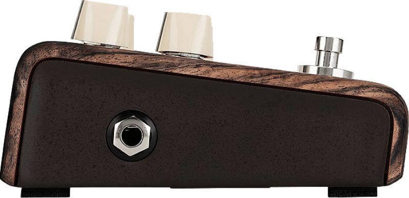 画像3: L.R.Baggs Align CHORUS (3)