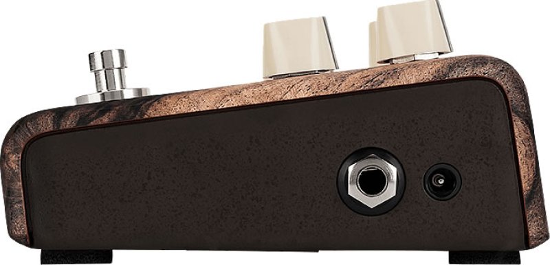 画像4: L.R.Baggs Align CHORUS (4)