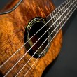 画像3:  【限定生産】 KUMU ukulele / Concert Tuxedo   (3)