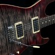 画像1: Tom Anderson / Pickups HF series   (1)