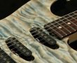 画像2: Tom Anderson / Pickups SF series   (2)