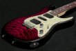 画像4: Tom Anderson / Pickups H series   (4)