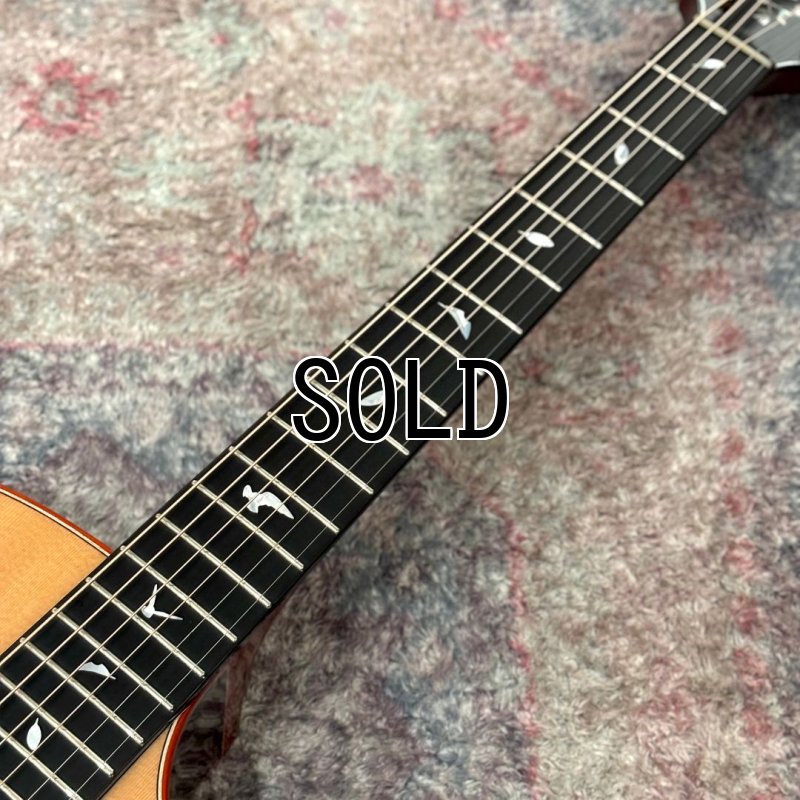 画像4: Natasha / JC-35 (#230881002)   【店頭展示品】 (4)