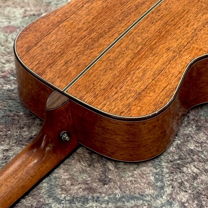 画像8: Natasha / Cat Mini (#240107551)   【店頭展示品】 (8)