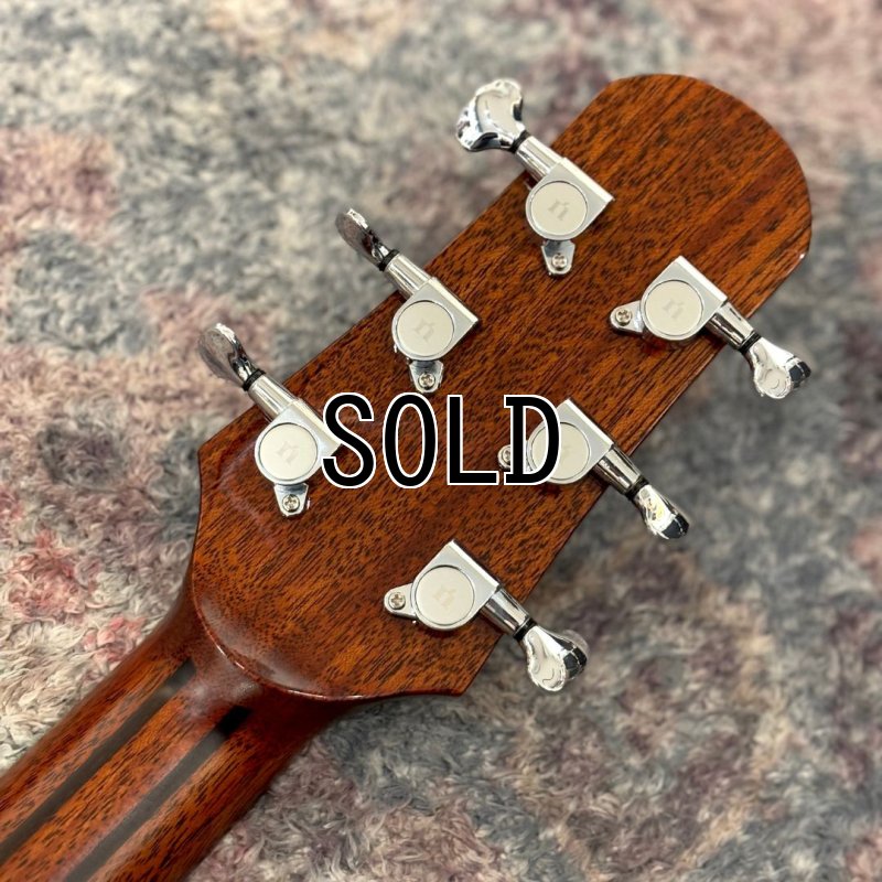 画像6: Natasha / JC-2 (#230821045)   【店頭展示品】 (6)