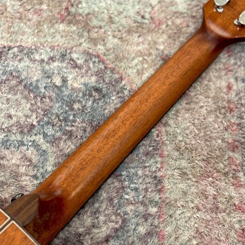 画像7: Natasha / Cat Mini (#240107551)   【店頭展示品】 (7)