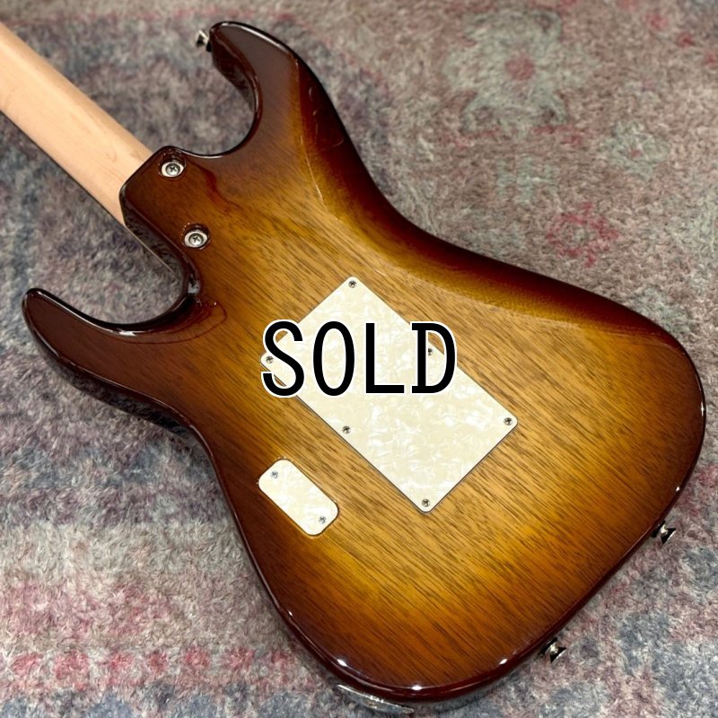 画像10: Tom Anderson / The Classic, Natural Autumn Burst #07-09-24A (10)