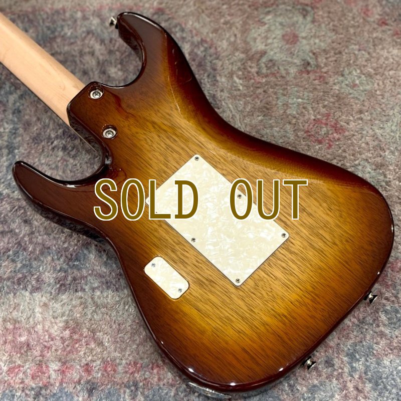 画像10: Tom Anderson / The Classic, Natural Autumn Burst #07-09-24A (10)