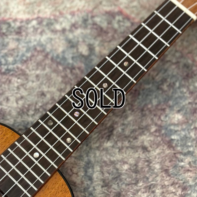 画像4: KUMU / Feather Concert  【店頭展示品】 (4)