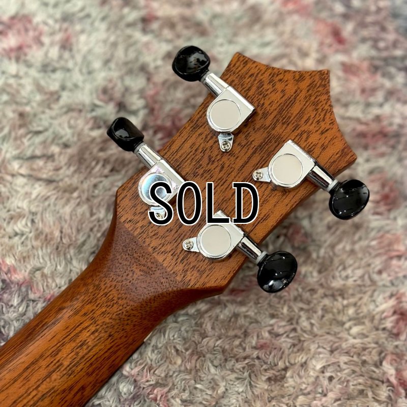 画像6: KUMU / Feather Concert  【店頭展示品】 (6)