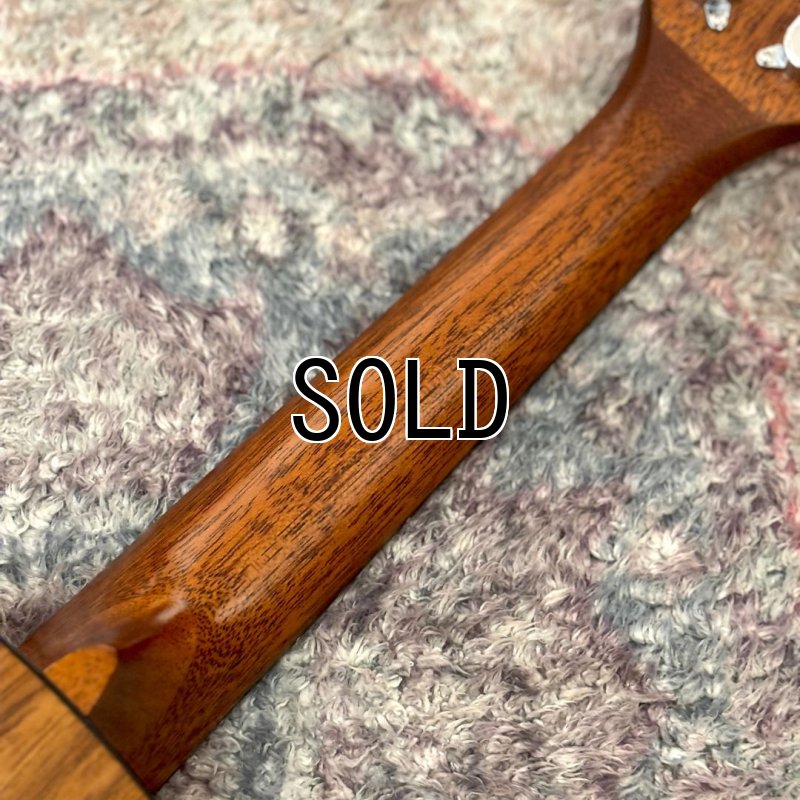 画像7: KUMU / Feather Concert  【店頭展示品】 (7)