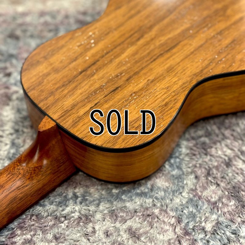 画像8: KUMU / Feather Concert  【店頭展示品】 (8)