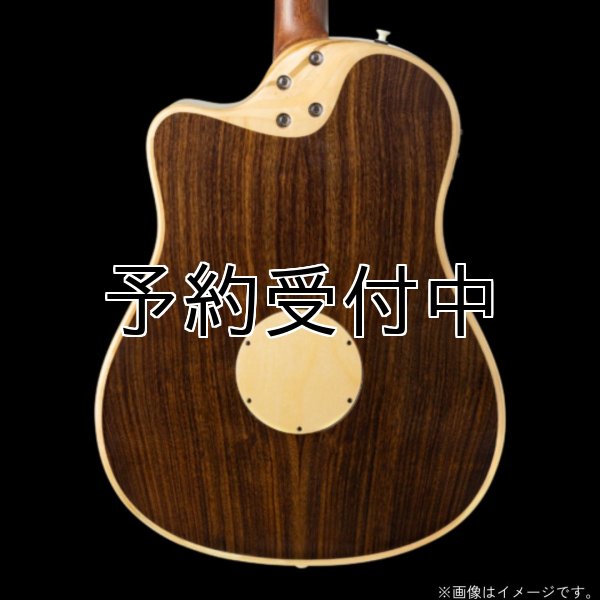 画像5: L.R.Baggs / AEG-1, Natural Engelmann Spruce   (5)