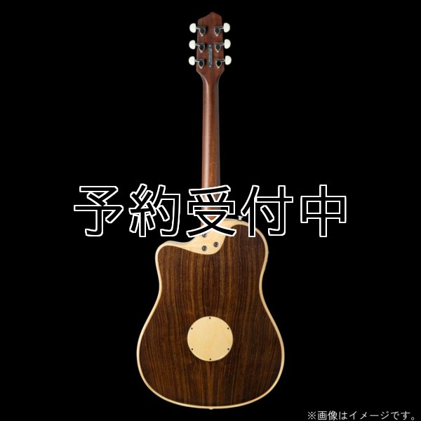 画像6: L.R.Baggs / AEG-1, Natural Engelmann Spruce   (6)