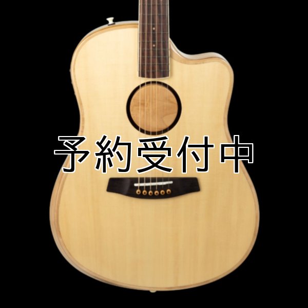 画像3: L.R.Baggs / AEG-1, Natural Engelmann Spruce   (3)