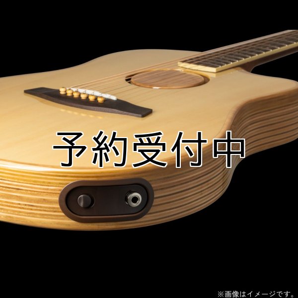 画像9: L.R.Baggs / AEG-1, Natural Engelmann Spruce   (9)