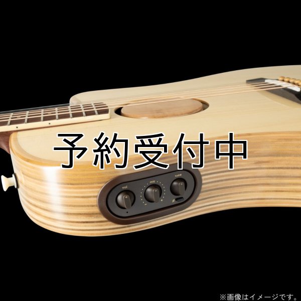 画像8: L.R.Baggs / AEG-1, Natural Engelmann Spruce   (8)