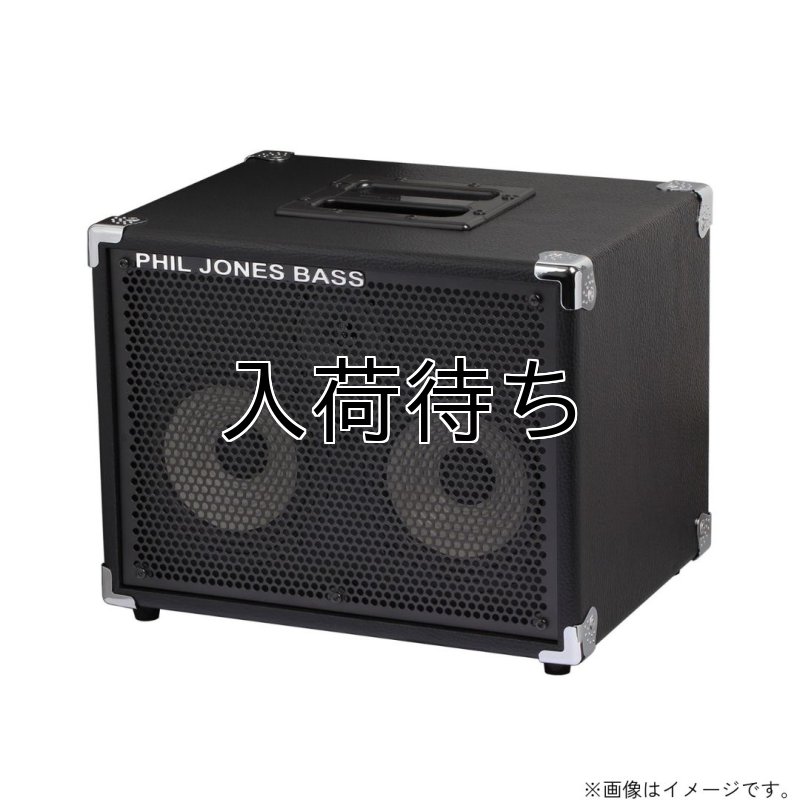 画像5: PJB / BassCabinet CAB-27   (5)