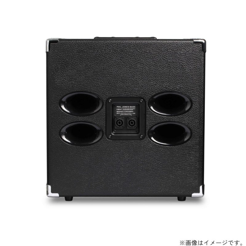画像3: PJB / BassCabinet CAB-47   (3)