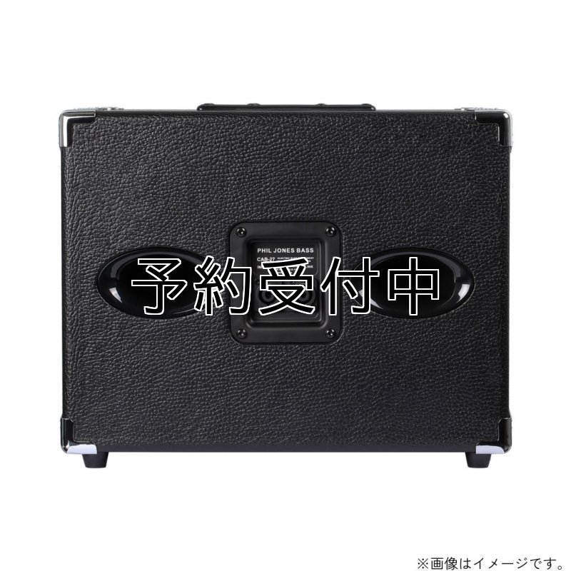 画像3: PJB / BassCabinet CAB-27   (3)