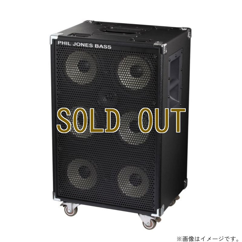 画像5: PJB / BassCabinet CAB-67   (5)