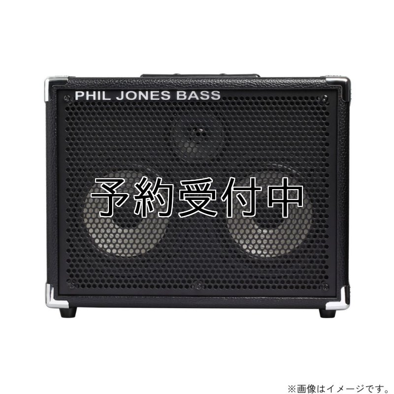 画像2: PJB / BassCabinet CAB-27   (2)