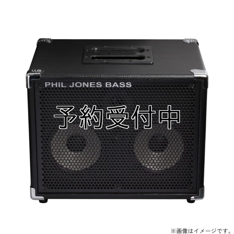 画像4: PJB / BassCabinet CAB-27   (4)