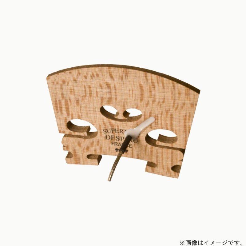 画像1: L.R.Baggs / Violin   (1)
