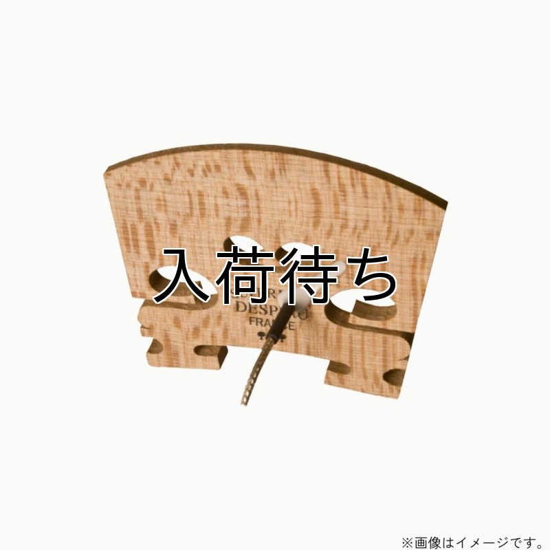 画像1: L.R.Baggs / Violin   (1)