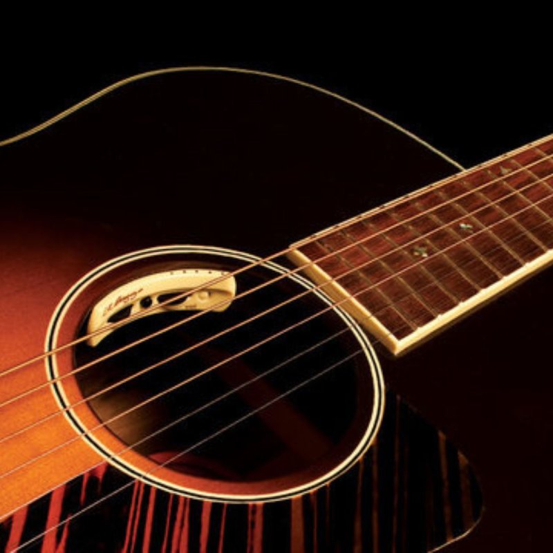 画像3: L.R.Baggs / Anthem   (3)