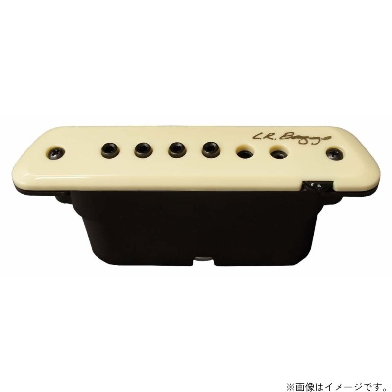 画像2: L.R.Baggs / M1 (Passive or Active)   (2)