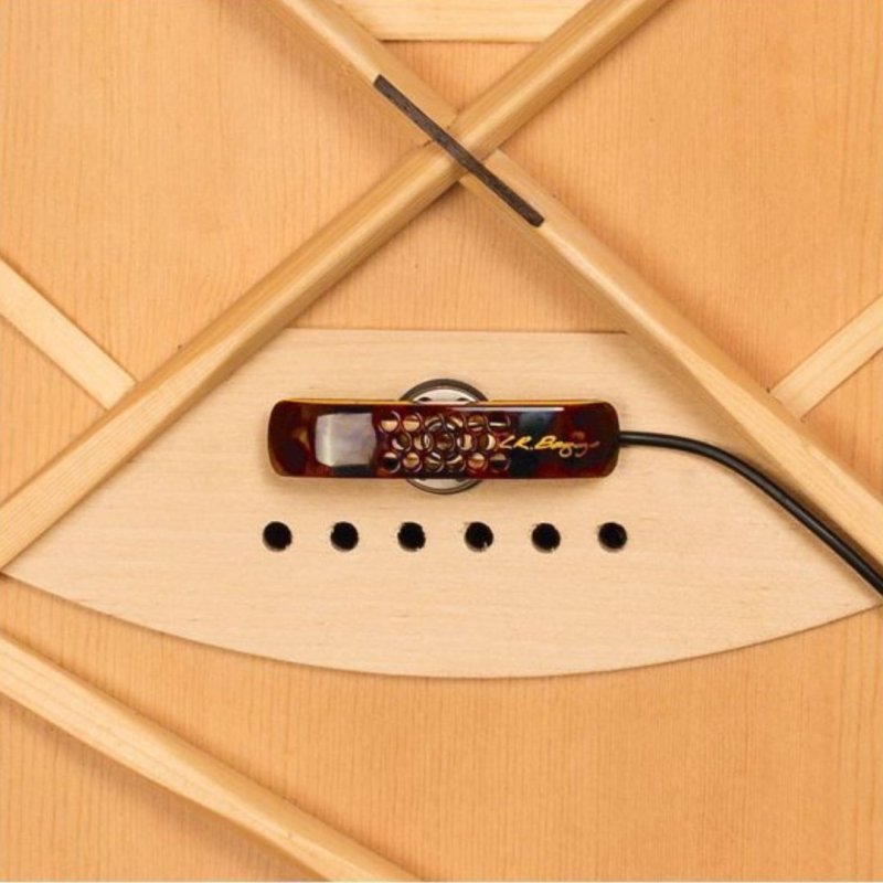 画像3: L.R.Baggs / Lyric   (3)