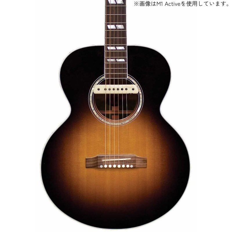 画像3: L.R.Baggs / M1 (Passive or Active)   (3)