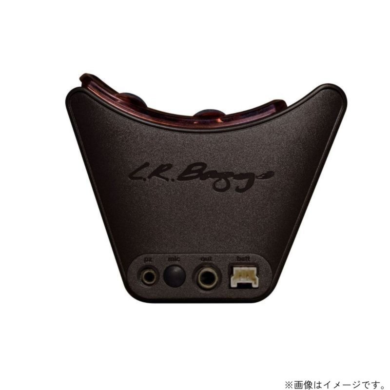 画像2: L.R.Baggs / Session VTC   (2)