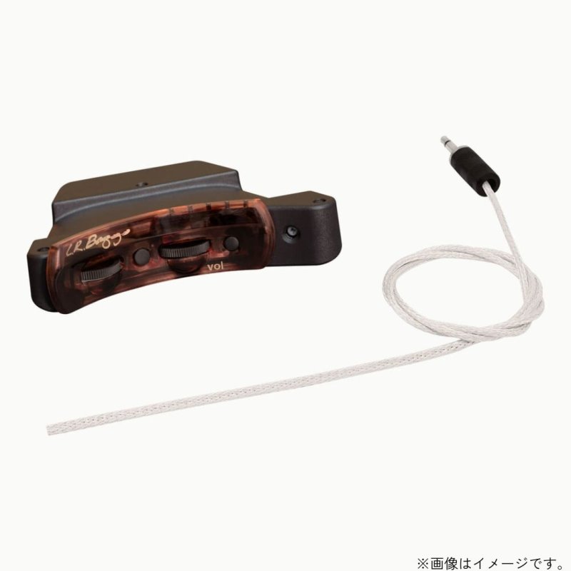 画像1: L.R.Baggs / Session VTC   (1)