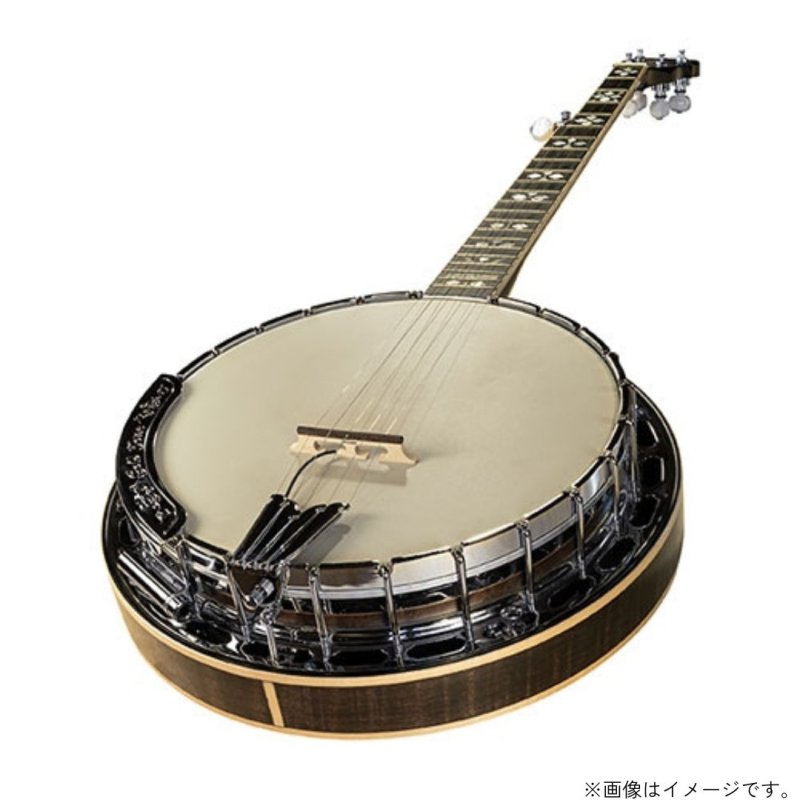 画像2: L.R.Baggs / Banjo   (2)
