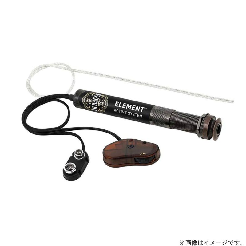 画像1: L.R Baggs / Element   (1)