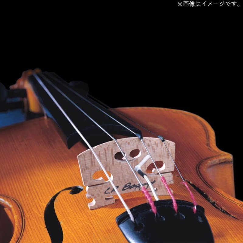画像2: L.R.Baggs / Violin   (2)