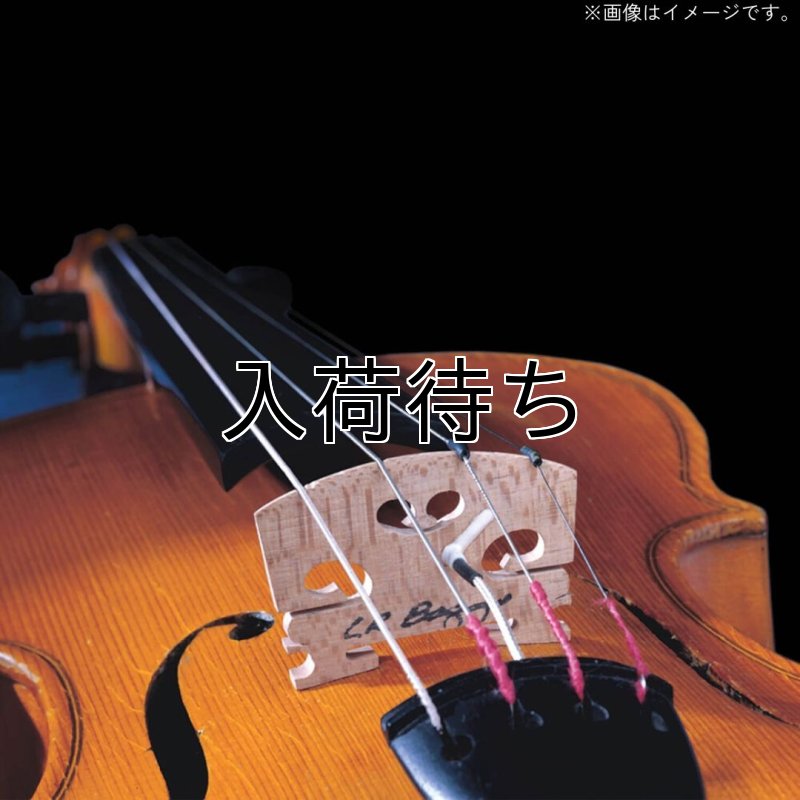 画像2: L.R.Baggs / Violin   (2)