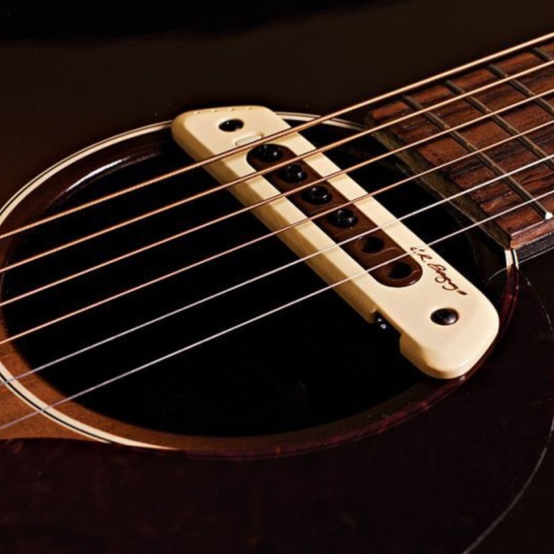 画像3: L.R.Baggs / M80   (3)