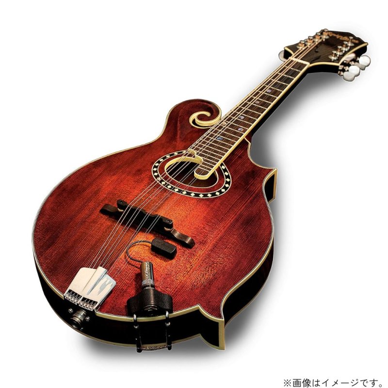 画像2: L.R.Baggs / Radius   (2)