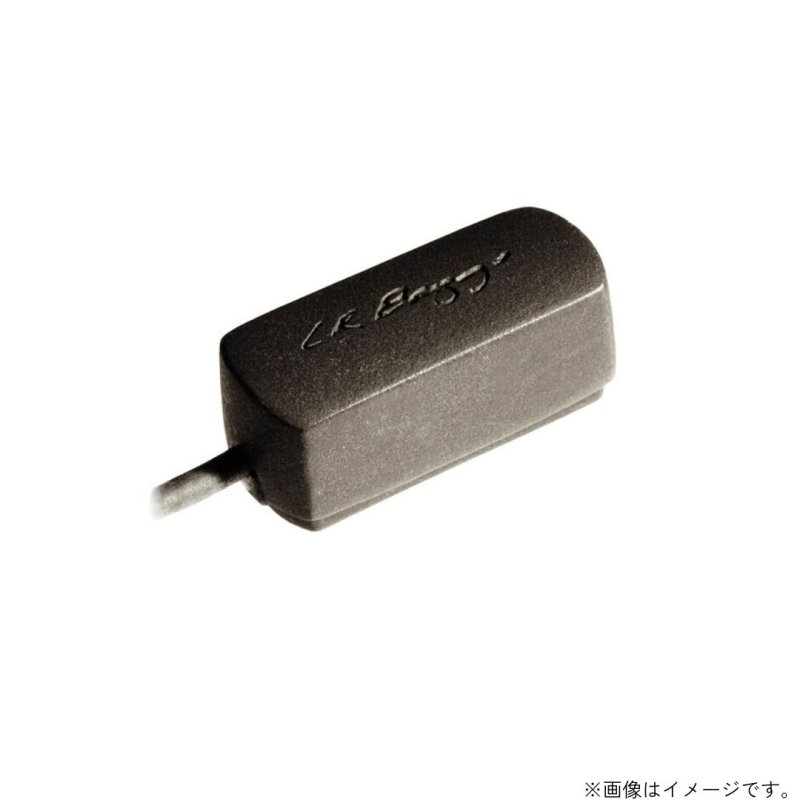 画像1: L.R.Baggs / Radius   (1)