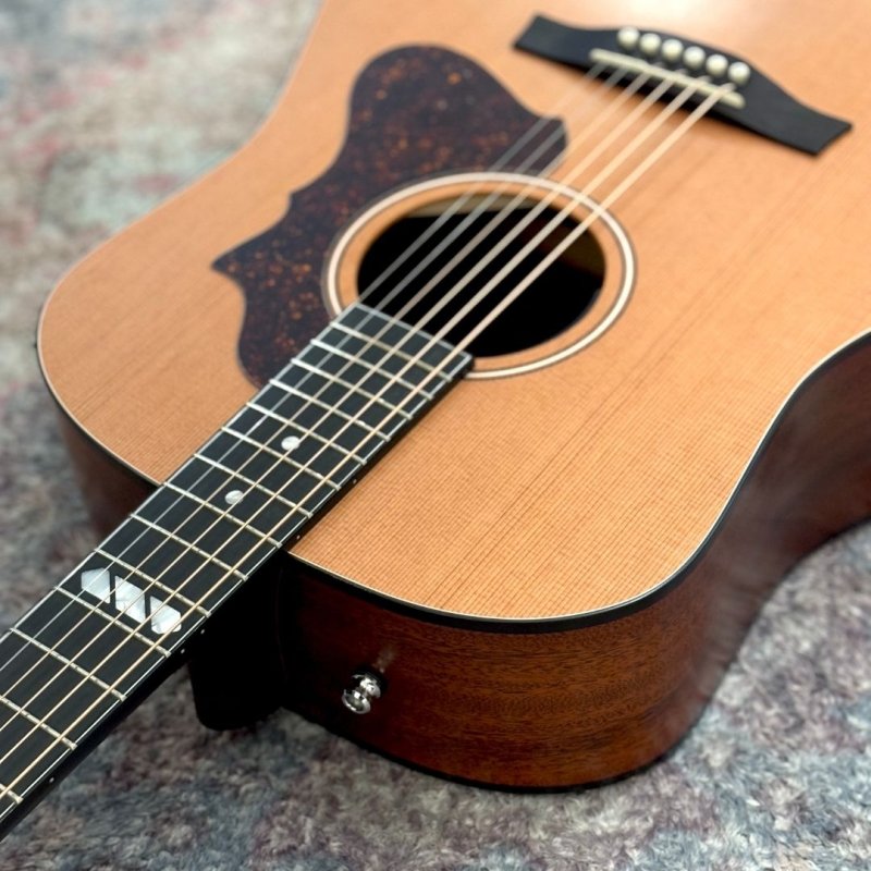 画像3:  【USED】  Godin / Metropolis Natural Cedar EQ    (3)