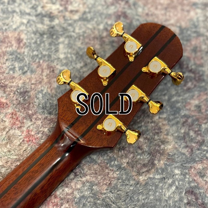 画像6: Natasha / JC-30S (#231017033)   【店頭展示品】 (6)