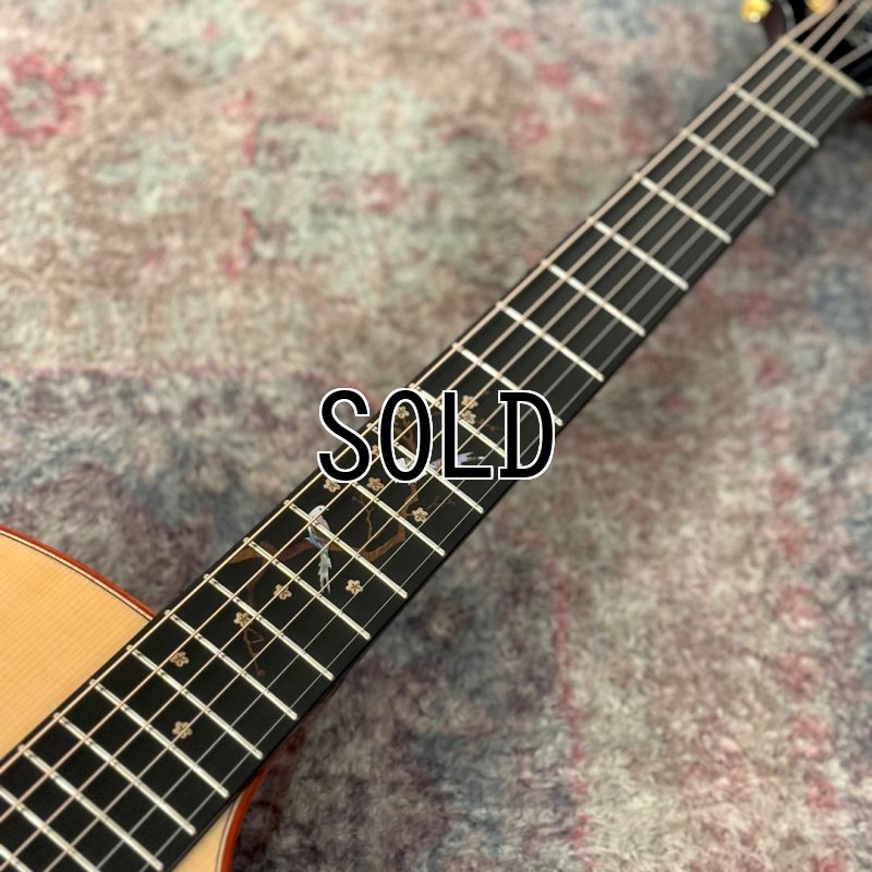 画像4: Natasha / JC-30S (#231017033)   【店頭展示品】 (4)