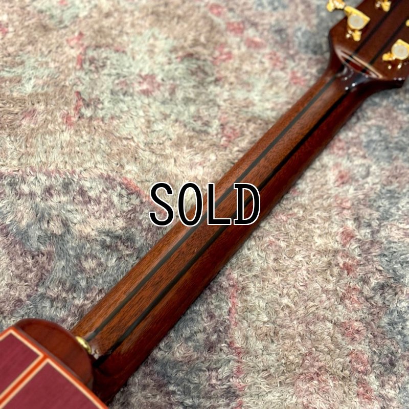 画像7: Natasha / JC-30S (#231017033)   【店頭展示品】 (7)