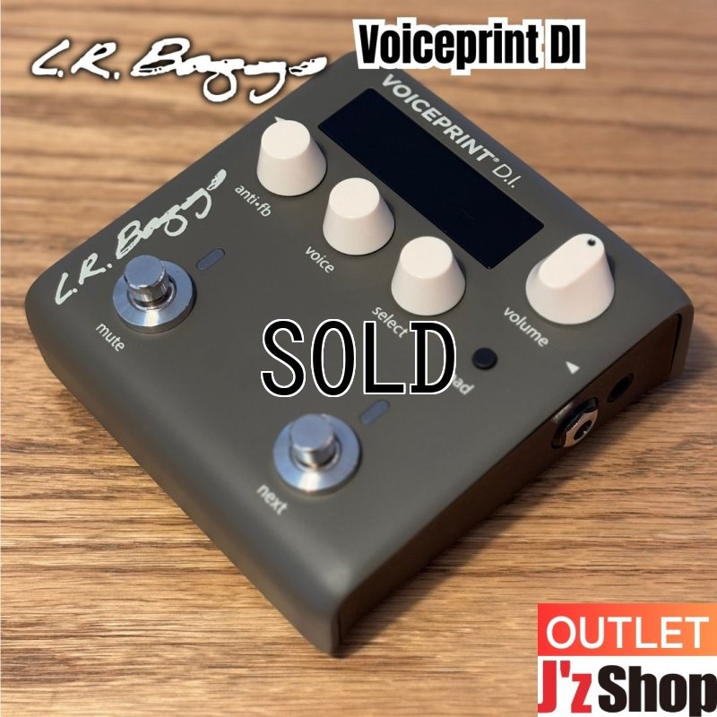 画像1:  【OUTLET】  L.R.Baggs / Voiceprint DI #20100036   (1)